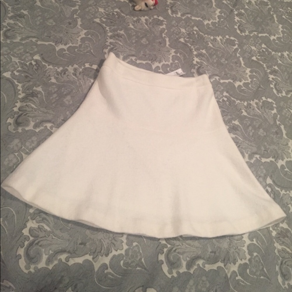 Ann Taylor Wool Skirt